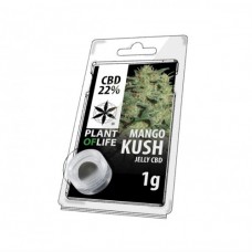 Mango Kush Jelly Hash CBD 1G